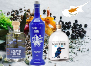 Best Gins for cocktails in Cyprus 2023