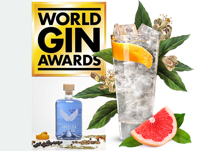 world gin awards 2023 - the best gins in the world you can buy in Cyprus